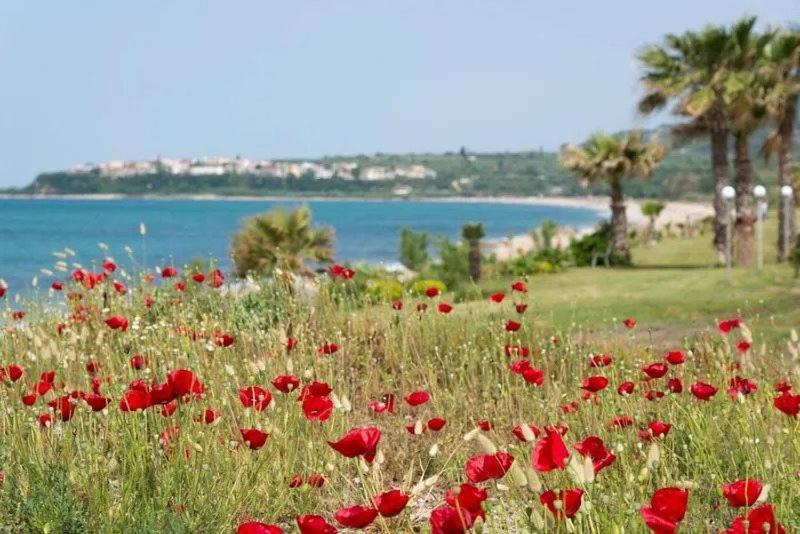 Poseidon Beach Hotel Кастросикия Экстерьер фото
